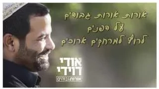 אודי דוידי אורות גבוהים 