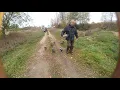 10 BLUETICK COONHOUND PUPPIES running for their breakfast