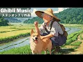 Download Lagu Ghibli Chill 🌊 Studying , coffee , reading , healing 🎧 Ghibli Relaxation BGM