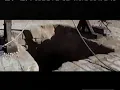 2008 The Ruins TV Trailer - Aired February 19 2008