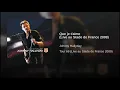 Que je t'aime (Live au Stade de France 2009)