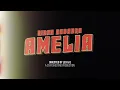 Lagu Ridah Kadabra - Amelia (Prod. by Riga)