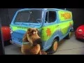 Rusty s TV Movie Car Museum Tennessee Crossroads Episode 2935 2