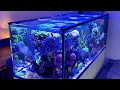 Lagu GERMAN REEF TANKS - Red Sea Reefer 650 mit Abdeckung aus Weißglas l -20% Luftfeuchtigkeit #aquarium