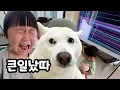 Download Lagu 더위먹고 사고쳤습니다...