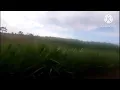 Download Lagu vlog jalan di sore hari di desa ndatar