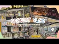 Grocery Vlog Indian Grocery in the Netherlands