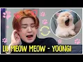 Download Lagu When Yoongi Turns Into Lil Meow Meow