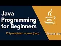 Java Programming for Beginners Tutorial 22 Polymorphism in java OOP