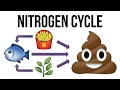 What Is the Nitrogen Cycle for Aquariums