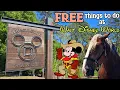 FREE Things to Do at Walt Disney World Part 1 Tri Circle D Ranch 2025 Disney s Fort Wilderness