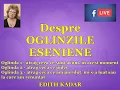 Despre OGLINZILE ESENIENE: Oglinda 1, 2, 3