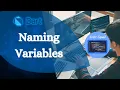 Dart Naming Variables Dart Tutorial for Beginners Coder Squad