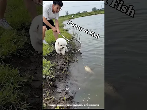 Puppy 🐶 का मछली पकड़ने का निंजा ट्रिक 😂🤯