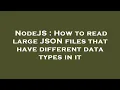 NodeJS How to read large JSON files that have different data types in it