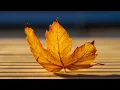 Download Lagu Одна из самых красивых мелодий Сергея Грищука \