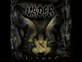 A World of Hurt - Vader