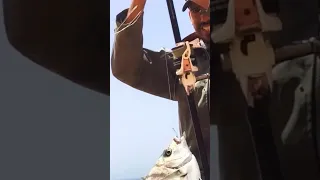 شرغو علاوات اخفنير بطعم القيمرون صيد الأسماك رحلات السفر الصيد بالقصبة Fishing Fish اكتشف 