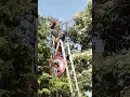 Download Lagu Guna kan lah tenaga dan waktu mu untuk kegiatan yang bermanfaat agar umur mu berkah