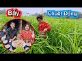 Lagu Khởi Động Lại Cuộc Chiến Bẫy Chuột Và Bẫy Được Con Vịt Luộc Siêu Ngon | HUY ANH TV