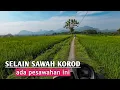 Download Lagu Perjalanan Menuju Sawah Terluas Cibeet Bojong Koneng Cariu Bogor