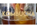 Beginners Guide To Fermentation Kombucha Making