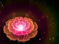 Sleep Meditation Music for Sacral Chakra swaddhisthana Healing