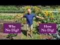 Lagu No Dig Explained, for Healthier Soil, Fewer Weeds, Bigger Harvests