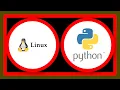 How to manually stop a Python script that runs continuously on linux