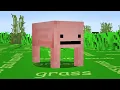 I let my viewers remake minecraft