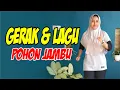 Download Lagu GERAK \u0026 LAGU POHON JAMBU