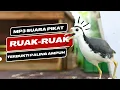 Download Lagu MP3 Suara Pikat Ruak Ruak Asli Terbukti Ampuh Burung Liar Langsung Datang
