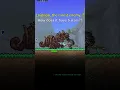 The RAREST enemy in Terraria Calamity mod is THIS Calamity s weird Bestiary rarities