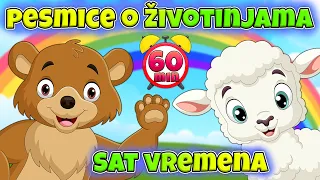 60 minuta pesmica o životinjama 🐰 Eci Peci Pec pesmice 🦊 Kako kažu životinje 🐷