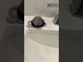 My menstrual disc got STUCK Period Day 2