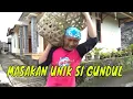 Download Lagu [FULL] MASAKAN UNIK SI GUNDUL | JEJAK SI GUNDUL (20/12/21)