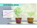 Lagu Biology: Controlled Experiments