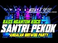 Download Lagu DJ SANTRI PEKOK BASS NGANTEM TERBARU ❗❗DJ BREWOG TERBARU