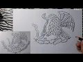 Como dibujar el ESCUDO de la BANDERA de MEXICO Como dibujar el AGUILA de la BANDERA de MEXICO