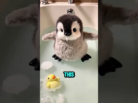 They Kept Sitting on the Balloon… Until SHE Did This! 🤯🎈