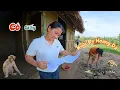 Download Lagu Bao Ngày Mong Ngóng Cuối Cùng Giấy Phép Nuôi Động Vật Hoang D.ã Đã Về Tới Nhà / Quế Nghịch