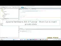 Apache NetBeans IDE 21 Tutorial - Short Cut to insert private static