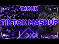 Download Lagu (1HOUR)TikTok Mashup 2024 (Not Clean)