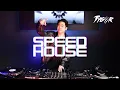 Download Lagu ◉ SPEEDHOUSE \u0026 HARDDANCE ◉ #5 | DJ TYGER | DANCE PARTY MIX 2023
