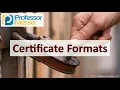 Certificate Formats - SY0-601 CompTIA Security 3 9