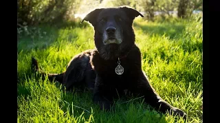 Getting Rich on Gold – Pushing North 92