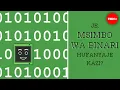 Je msimbo wa binari hufanyaje kazi - Jose Americo N L F Freitas