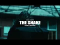 THE SNAKE (slowed + reverb) - Lana Lubany