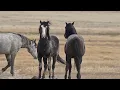 By Your Grace ~ Cody Johnson (Unofficial Music Video)
