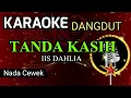 Lagu TANDA KASIH ( IIS DAHLIA ) KARAOKE DANGDUT NADA CEWEK